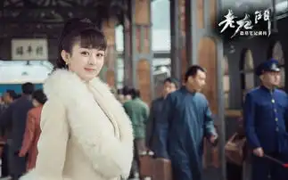 看老九门,揭秘赵丽颖的减肥餐