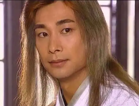 赵文卓,可惜了李连杰
