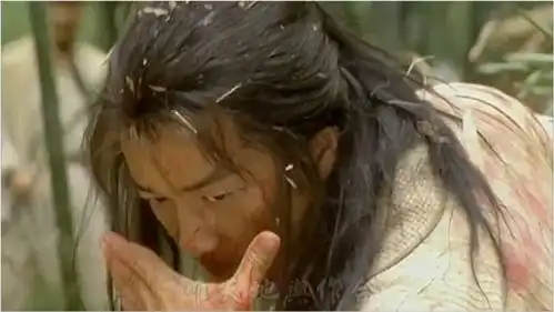 笑傲江湖19集令狐冲绿竹巷一战封神