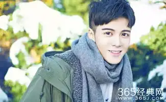 吴磊郭俊辰王源这些娱乐圈95后小鲜肉你认识几个
