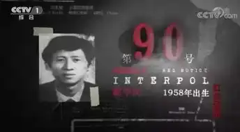 刘宝凤归国投案,揭开金融江湖暗度陈仓刺杀潜逃的红通往事
