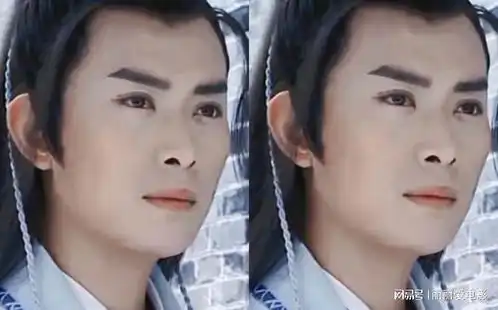 长月烬明黄海冰饰演白发师尊,他的沈浪太帅,标准的剑眉星目
