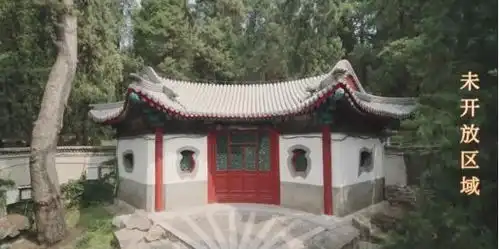 颠覆稳重大叔形象张国立在我在颐和园等你中大秀皇室说唱
