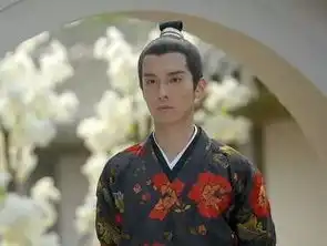 沙发界的太子妃升职记
