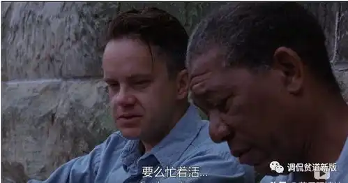 肖申克的救赎永不放弃做一个自由人的念头
