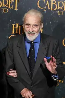 白袍巫师终仙去