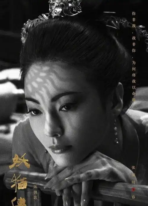 虎女张雨绮不顺从的婚姻和不执着的爱情
