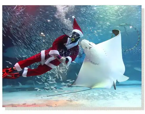 新闻博览欧洲法院裁定英国可单方面停止脱欧,梅姨推迟议会投票
