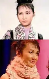 87版红楼梦演员今昔家居照对比你认的出几个