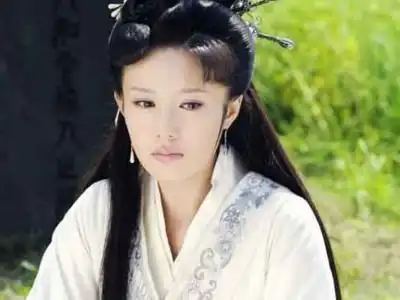 清朝的王贞仪是中国第一位女科学家吗,她做了什么贡献
