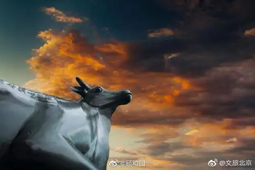 晒一波颐和园美图,一起打卡美景吧