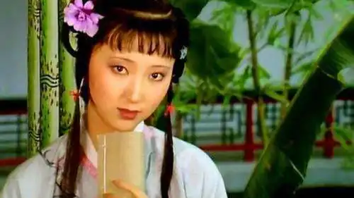 红楼梦赏析林黛玉遭遇闭门羹是否怨晴雯