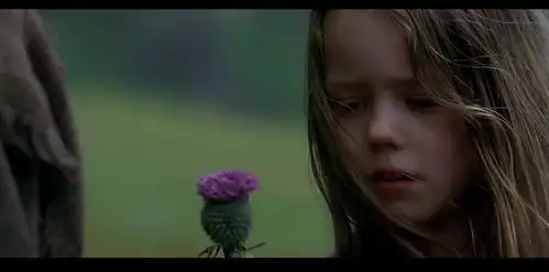 史上经典电影回顾勇敢的心