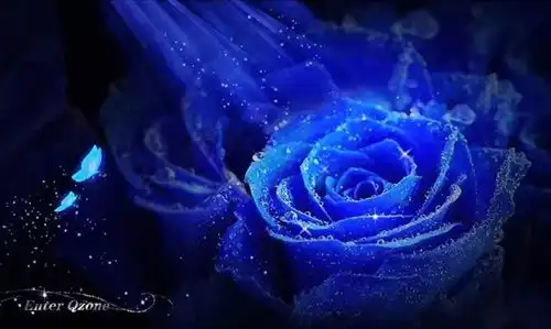 极魅之蓝蓝色妖姬的传说
