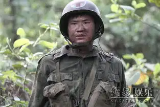 中国远征军再登卫视谢孟伟用演技征服观众