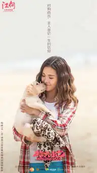 神犬小七2高清剧照张云龙王洋欧叶堆糖,美好生活研究所
