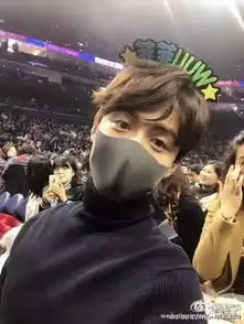 王菲演唱会结束,不小心发现前面是马云
