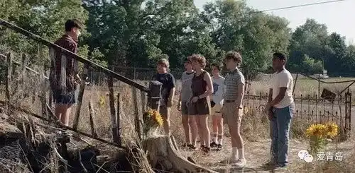 胆小请组团观阅令人又爱又怕的恐怖片
