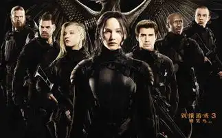 求饥饿游戏高清图片
