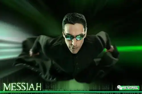 12寸黑客帝国3最终战衣尼奥,中华立领超帅