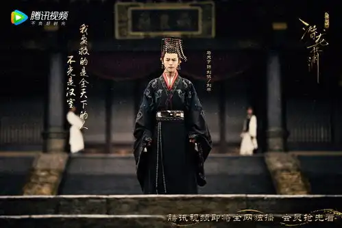 听说有金马影帝金鸡影后都出演了电视剧三国机密之潜龙在渊