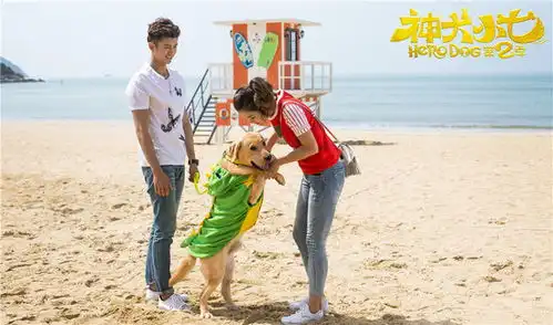 神犬小七第二季热播狗狗在中国引关注
