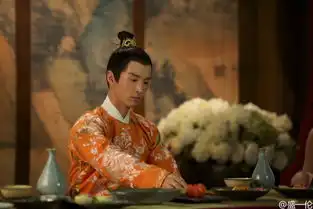 太子妃男主是杭州男伢儿称想早点回家过年
