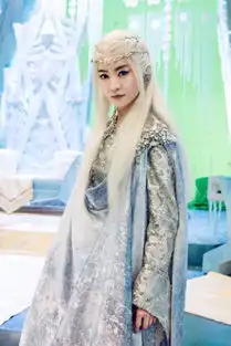 幻城剧照王妃