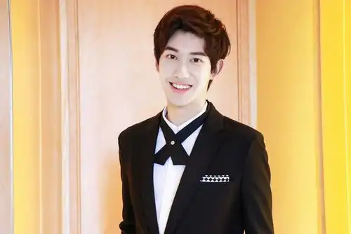 组图陈柯帆16岁帅气席卷风尚盛典花季正太热心助力公益
