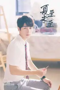 一线卫视2017内容盘高配综艺ip大剧的化学效应
