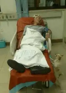 八旬爹爹走失后摔伤入院小狗身边守护感动网友