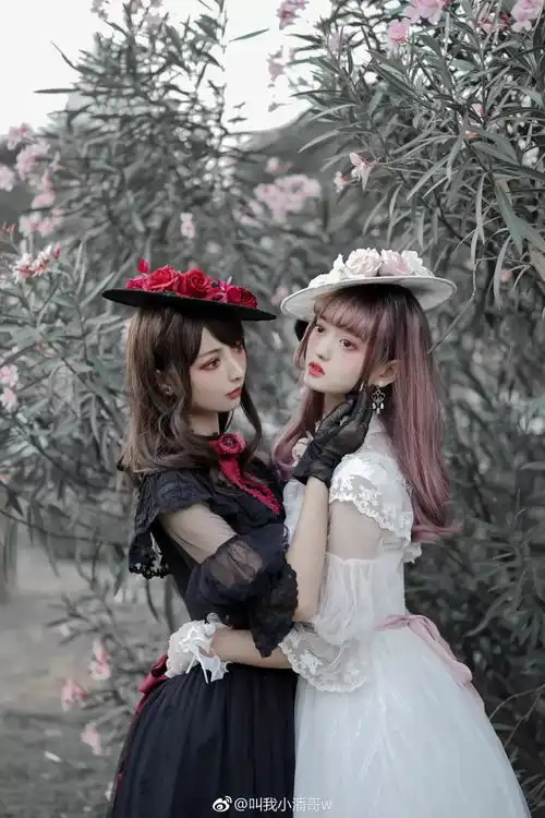 lolita难忘的美好时代
