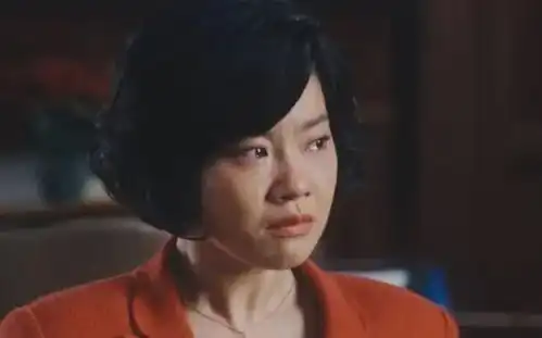 心机女梅萍根本不知,为何一心搞垮汪小姐,却让她成为董明珠