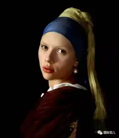 在戴珍珠耳环少女的故乡寻找维米尔
