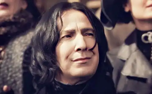 西弗勒斯斯内普