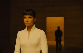2049,装出来的神作
