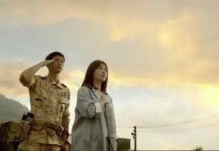 越南版太阳的后裔来了主角颜值不输原版,可背景是什么鬼
