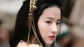 可她是我的夫人陈坤x赵薇