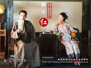 小精灵周迅,文艺男黄磊,还记得橘子红了的时候吗
