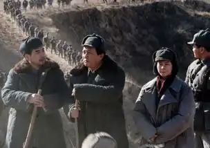 百余位明星出演的电影,最后两部零片酬,真正的回忆
