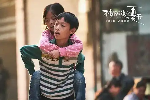 或是一生或聚散匆匆,不寻常的电影不期而遇的夏天