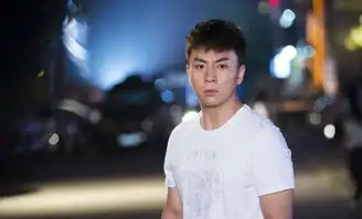 功夫之爱的速递剧照
