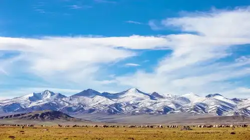 看完飞驰人生我只想去巴音布鲁克拍片