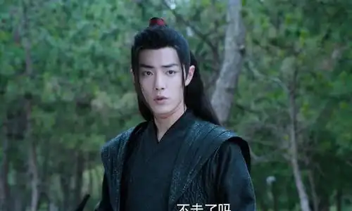 陈情令大结局是悲是喜魏婴与蓝湛分别,最后真有看到蓝湛