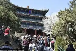 颐和园景山公园一日游