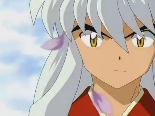 求犬夜叉的好看图片
