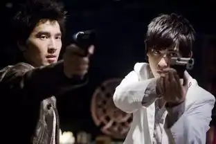 求痞子英雄之全面开战百度云资源
