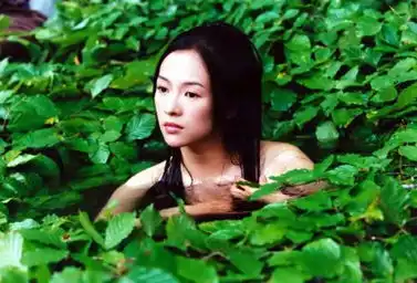 清纯女星出浴照谁最性感杨幂薄纱遮体蓝燕撩拨人心
