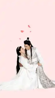 双世宠妃剧照邢邵林苹果手机高清壁纸1080x1920爱思助手