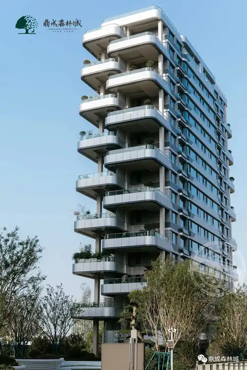 速看淄博最新推出